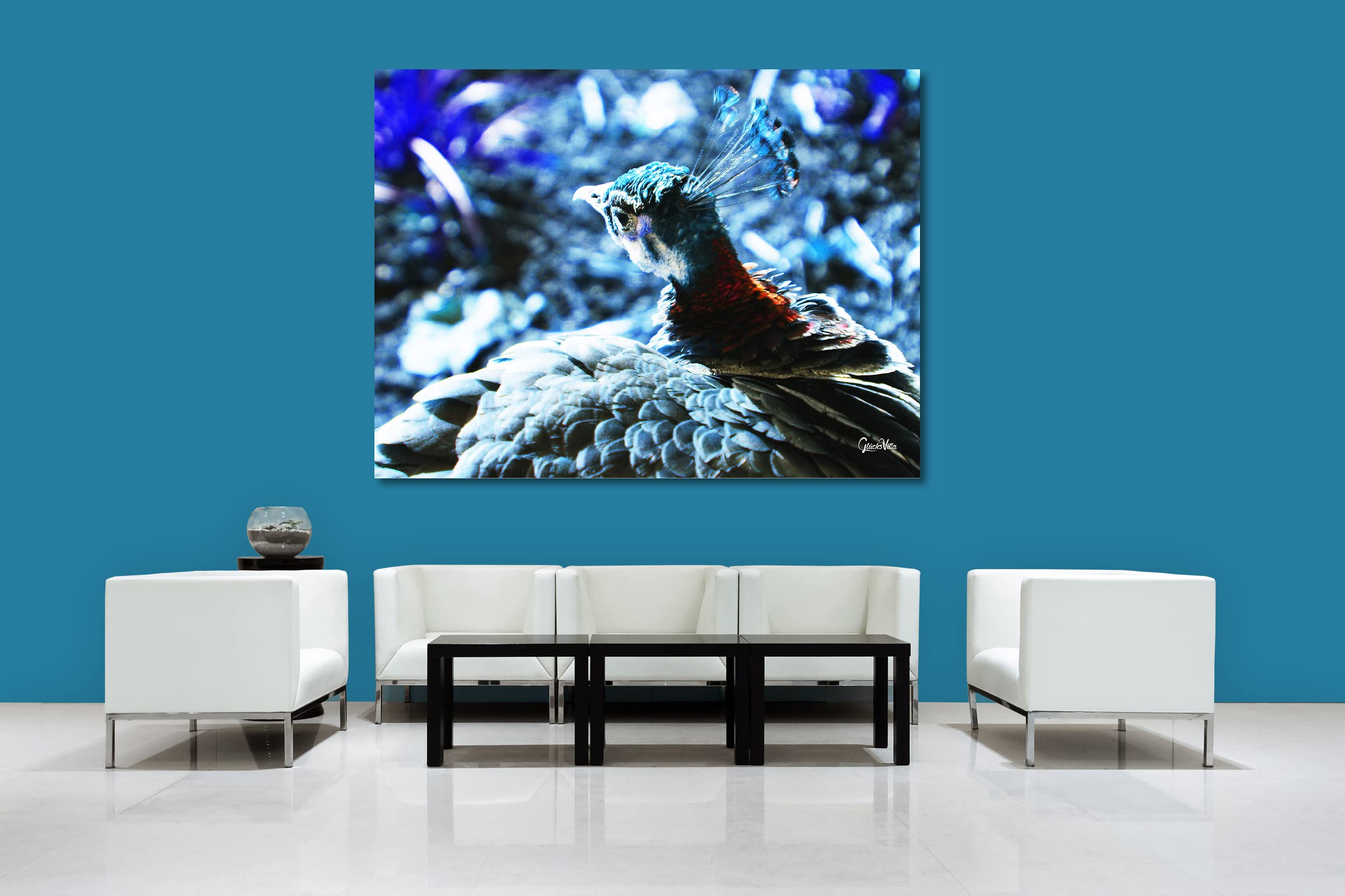 Glücksvilla - Der schöne Pfau 1 (Acrylglas-Bild 5 mm, 80 x 60 cm) | div. Maße - aus DE - Kunstdruck XXL Deko Wandbild quer - Vogel Natur Tier Gefieder grün blau