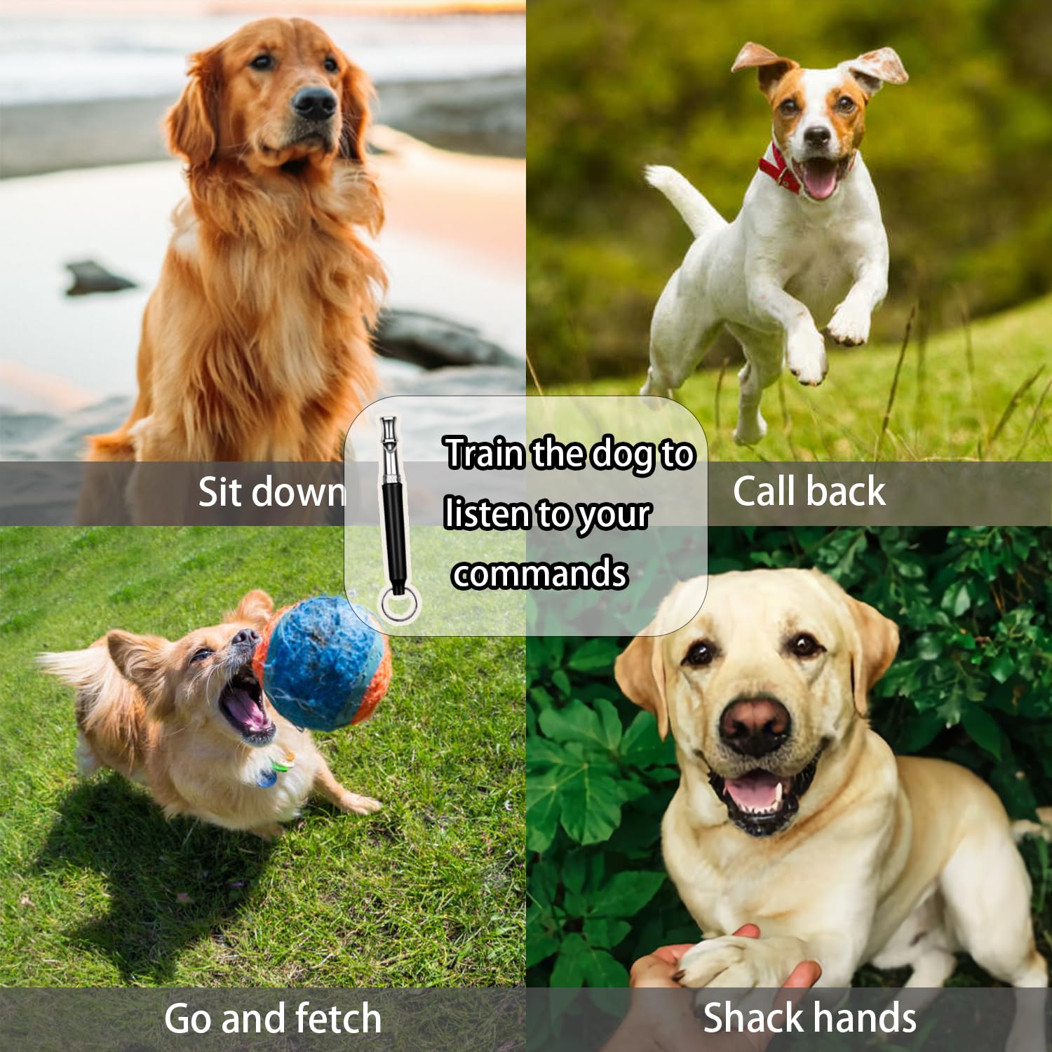 Silbatos de entrenamiento para perros, 2 unidades, retirada profesional, deja de ladrar, silencioso, ajustable en blanco y negro, con cordón