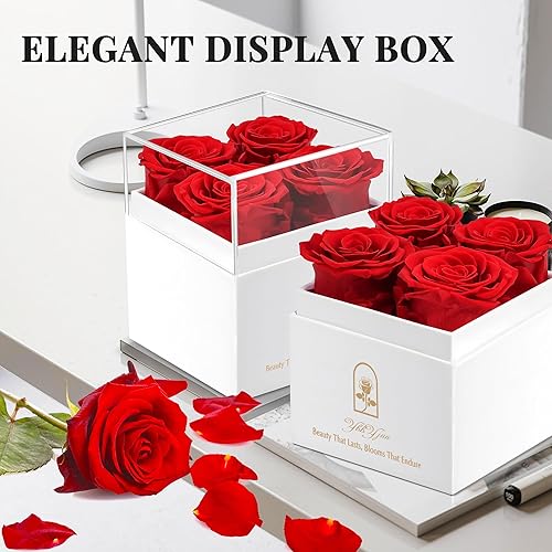 Miniatura 6 de YbbYjun Rosas preservadas en una caja, rosas reales de 4 piezas que duran un año, flores preservadas, regalos de cumpleaños para mujeres, flores