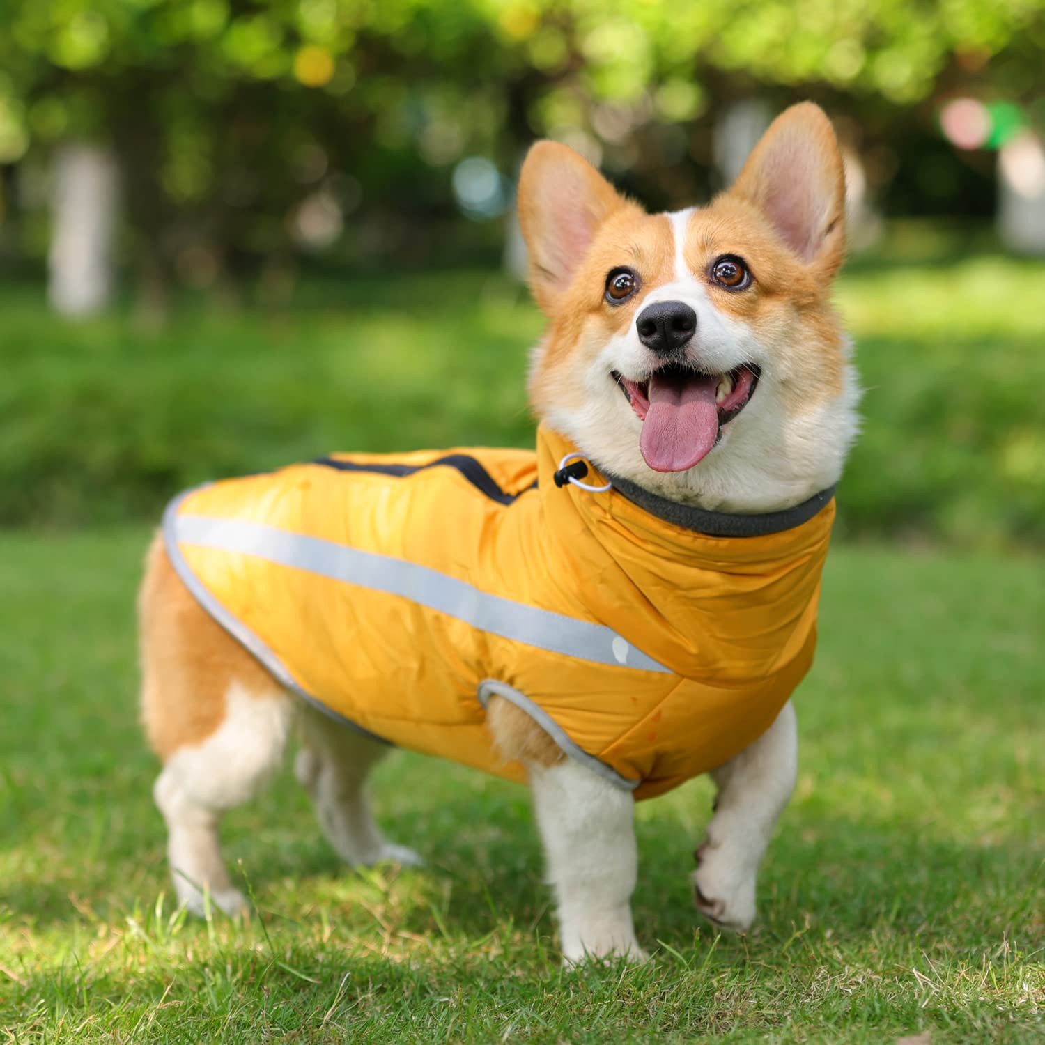 CITÉTOILE Warme hondenjas met harnas, winddichte ruitvormige hondenjas voor koud weer, winterhondenkleding met ritssluitingen en losse manchetten voor kleine, middelgrote en grote honden, M
