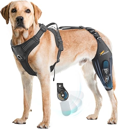 Miniatura 1 de Rodillera para perro para pierna trasera desgarrada ACL con estabilizador de bisagra ajustable, soporte de espalda de perro para osteoartritis,