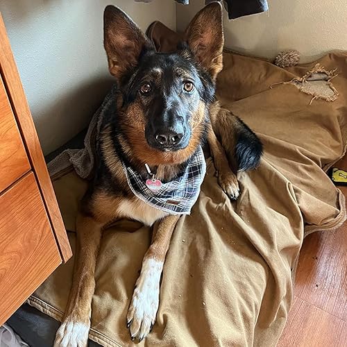 Miniatura 5 de lionet paws Bandana de Pascua para perro con patrón de conejo para perros pequeños, medianos y grandes, pañuelo de perro y gato, pañuelo triangular,