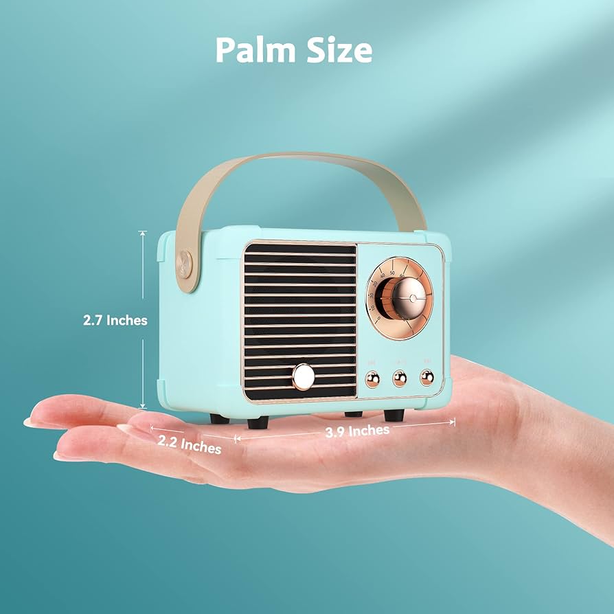 wireless speaker❤️ ZIZO Retro 30W Portable Wireless Speaker - Black – ZIZO Wireless