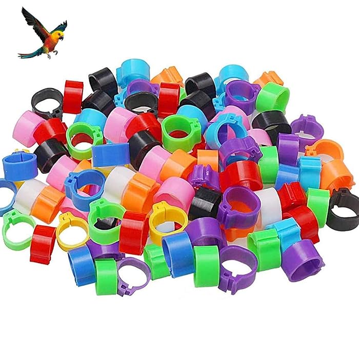 Buy 200 Pieces Pigeon Foot Rings Parrot Leg Bands Birds Foot Rings Pigeon Foot Ring Pigeons