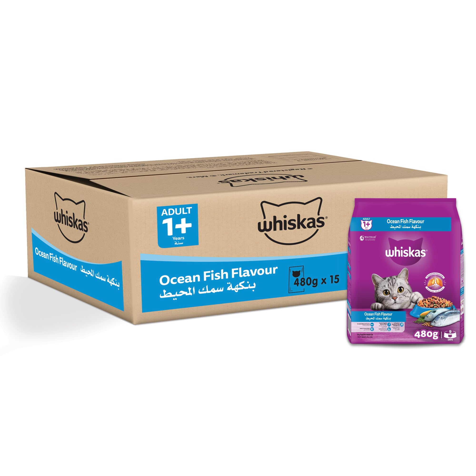 Whiskas Ocean Fish Dry Cat Food, Pack of 15, 480g, for Adult Cats 1+ Years, Complete Nutrition and Great Taste Cat Dry Food 480g x 15