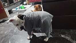 Review Image by Holly Holly