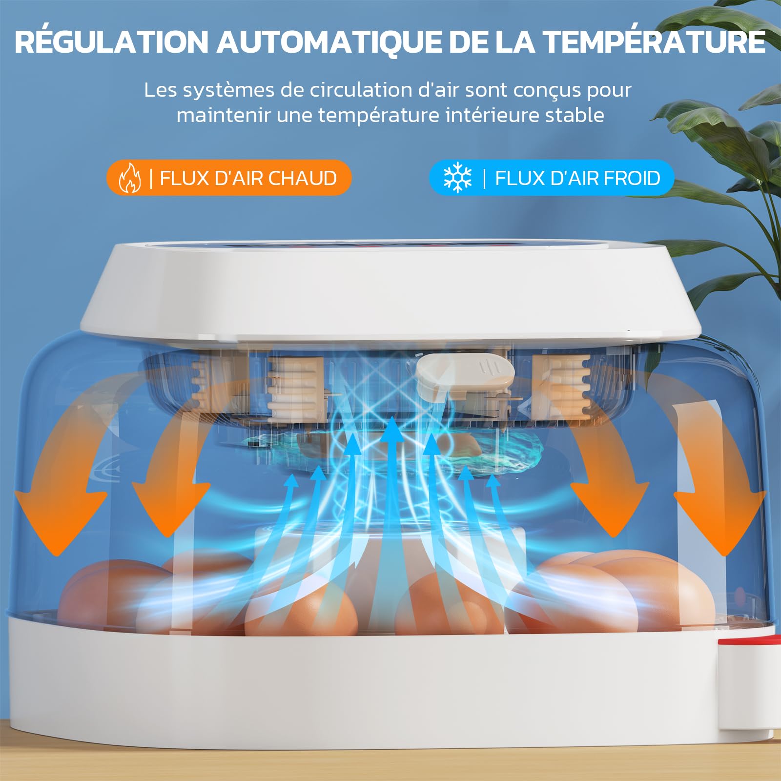 Sailnovo Couveuse oeuf automatique 12 œufs - Incubateur oeuf automatique vue 360°, 4 modes multi-espèces, Contrôle température, Retournement auto, Mire-Œufs Intégré (Bleu)
