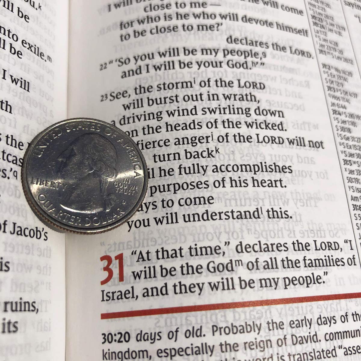 NIV Study Bible, Fully Revised Edition (Study Deeply. Believe Wholeheartedly.), Leathersoft, Navy/Tan, Red Letter, Comfort Print - Image 8