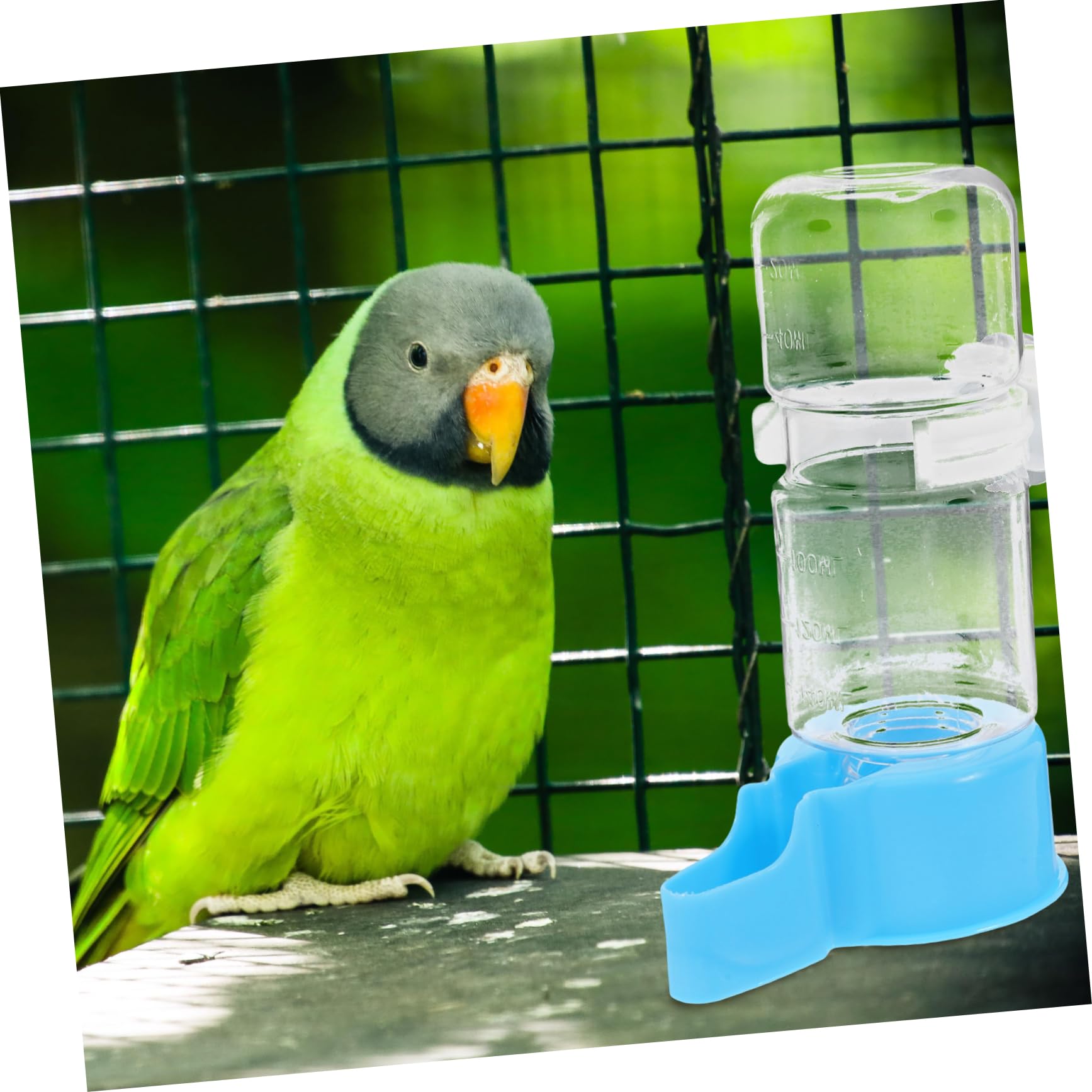 TOYANDONA Bebedero Automático Para Aves Dispensador De Agua Reutilizable Para Periquitos Y Aves Accesorio De Jaula Para Pájaros Sin Filtraciones Diseño Seguro Y 2 Piezas X 5