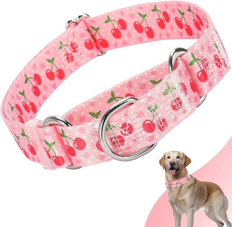 Coleira Martingale para Cães Pequenos com Estampa Pink Cherry MAOWUWUJOZ