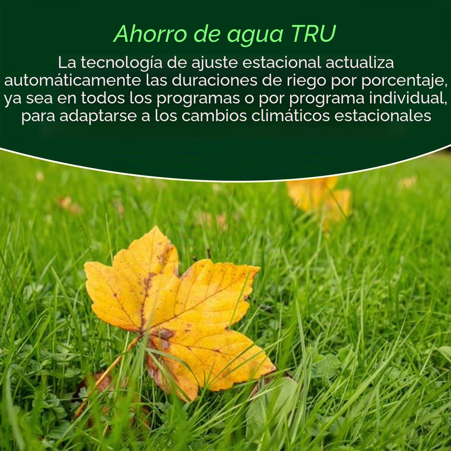 Rain Bird TRU6I Controlador/temporizador de riego de interior basado en programas, módulo WiFi listo, 6 zonas/estación