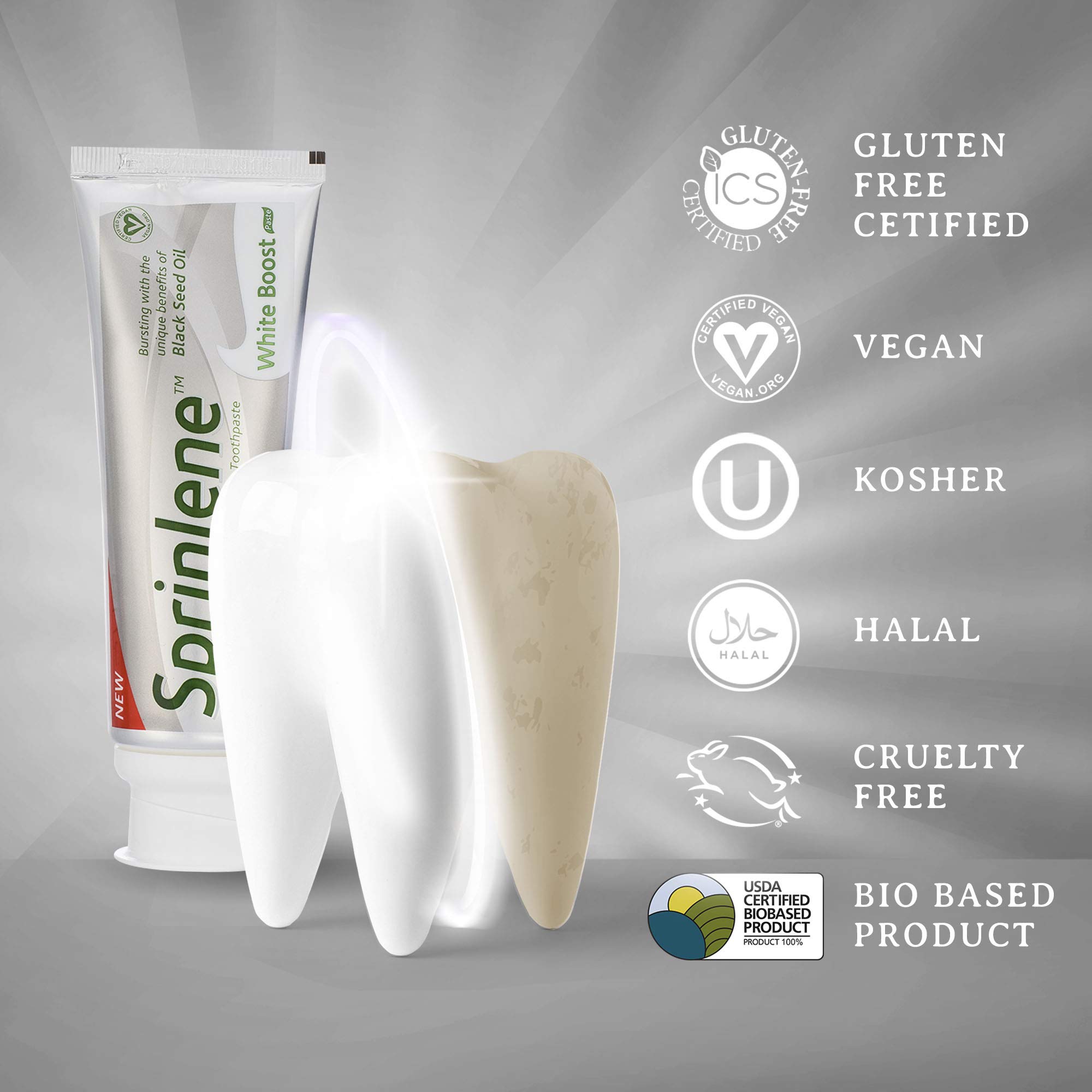 Buy White Boost 4Pack Tooth Paste, Whitening Fluoride Toothpaste for