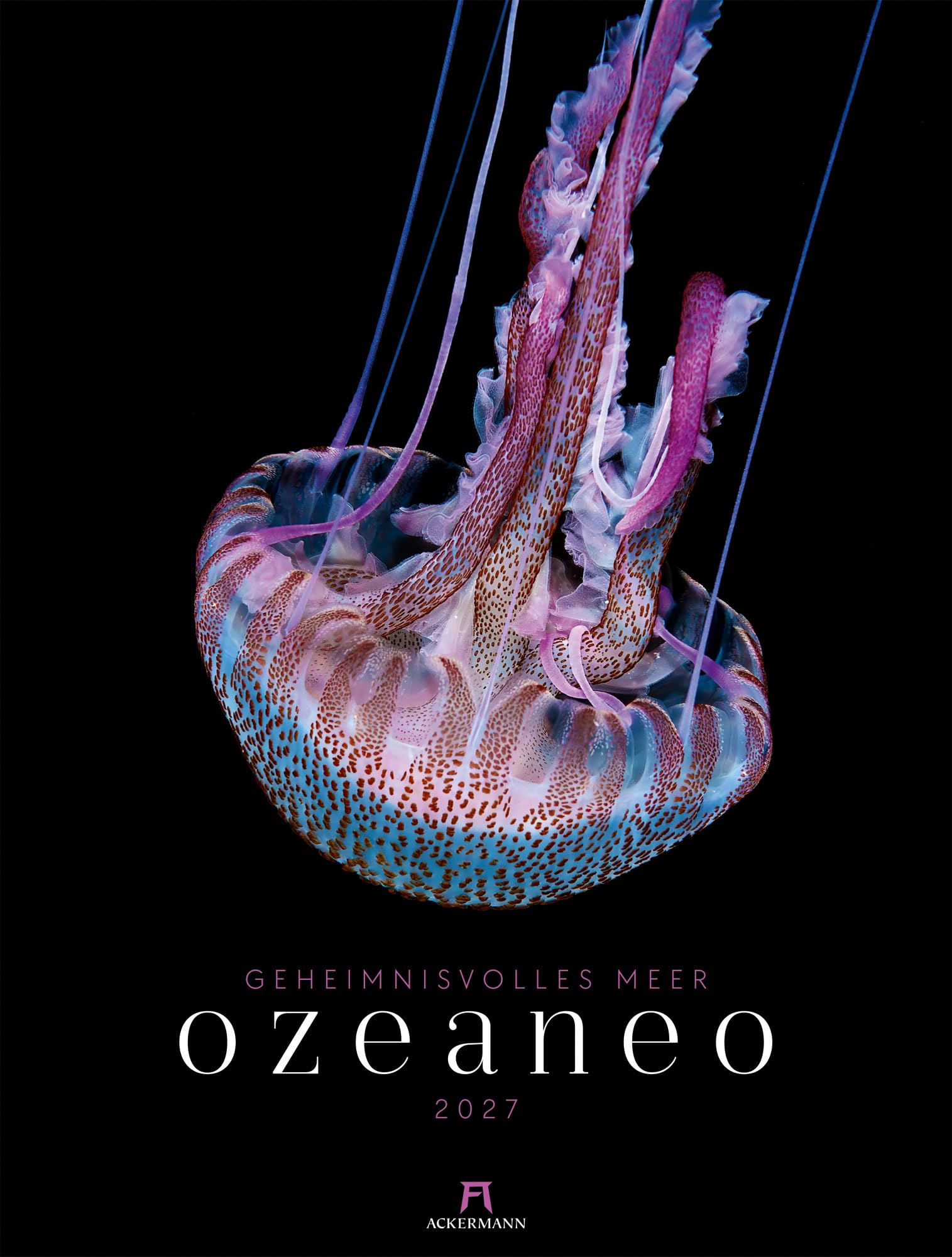 Ozeaneo Kalender 2027 | Geheimnisvolles Meer: Bildstarker Unterwasser-Kalender im großen Hochformat (50x66 cm) | Mit wissenschaftlichen Informationen