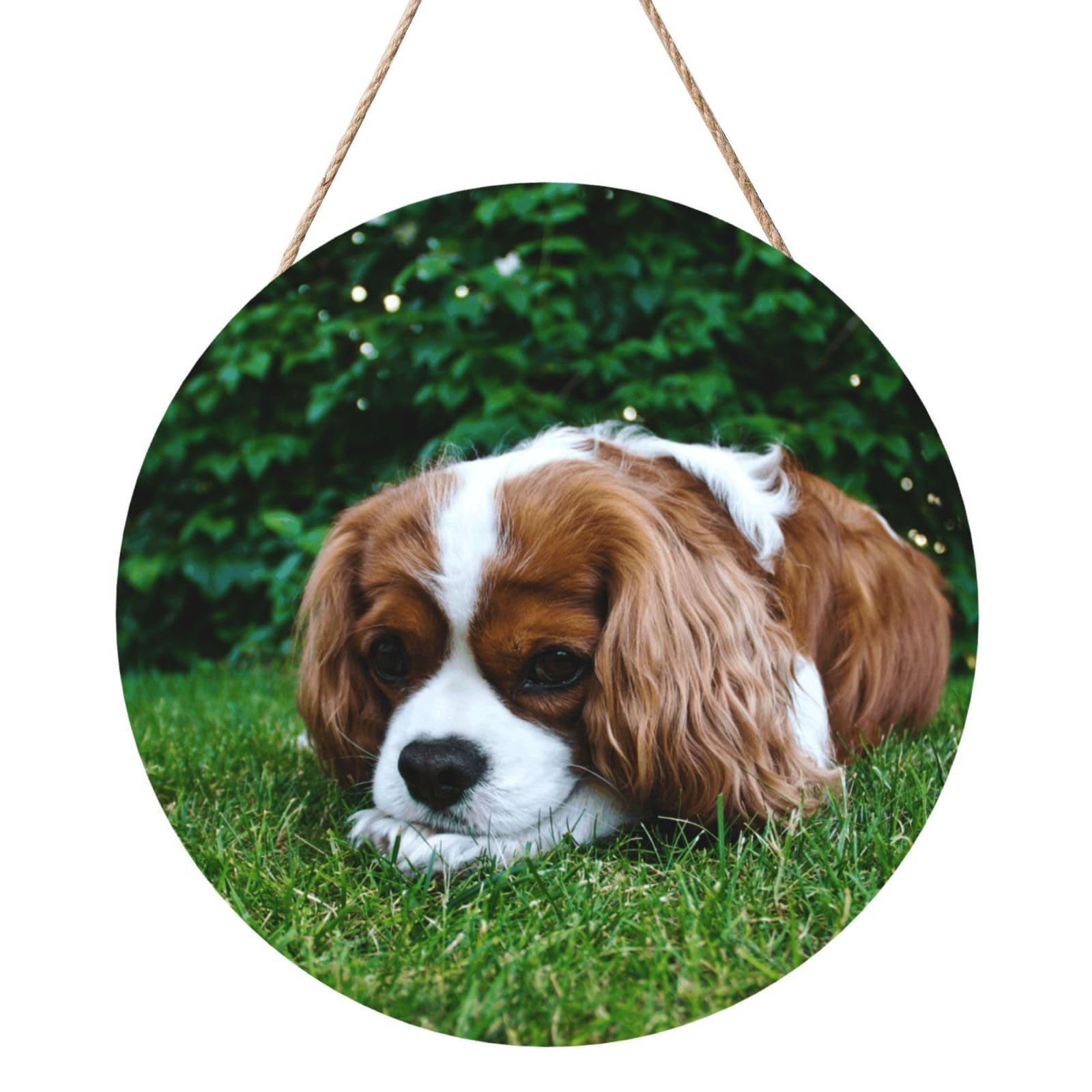 InOmak Cavalier King Charles Spaniel Brownish White, Round Wood Panel Painting 12 in, Wall Hanging Painting For Home