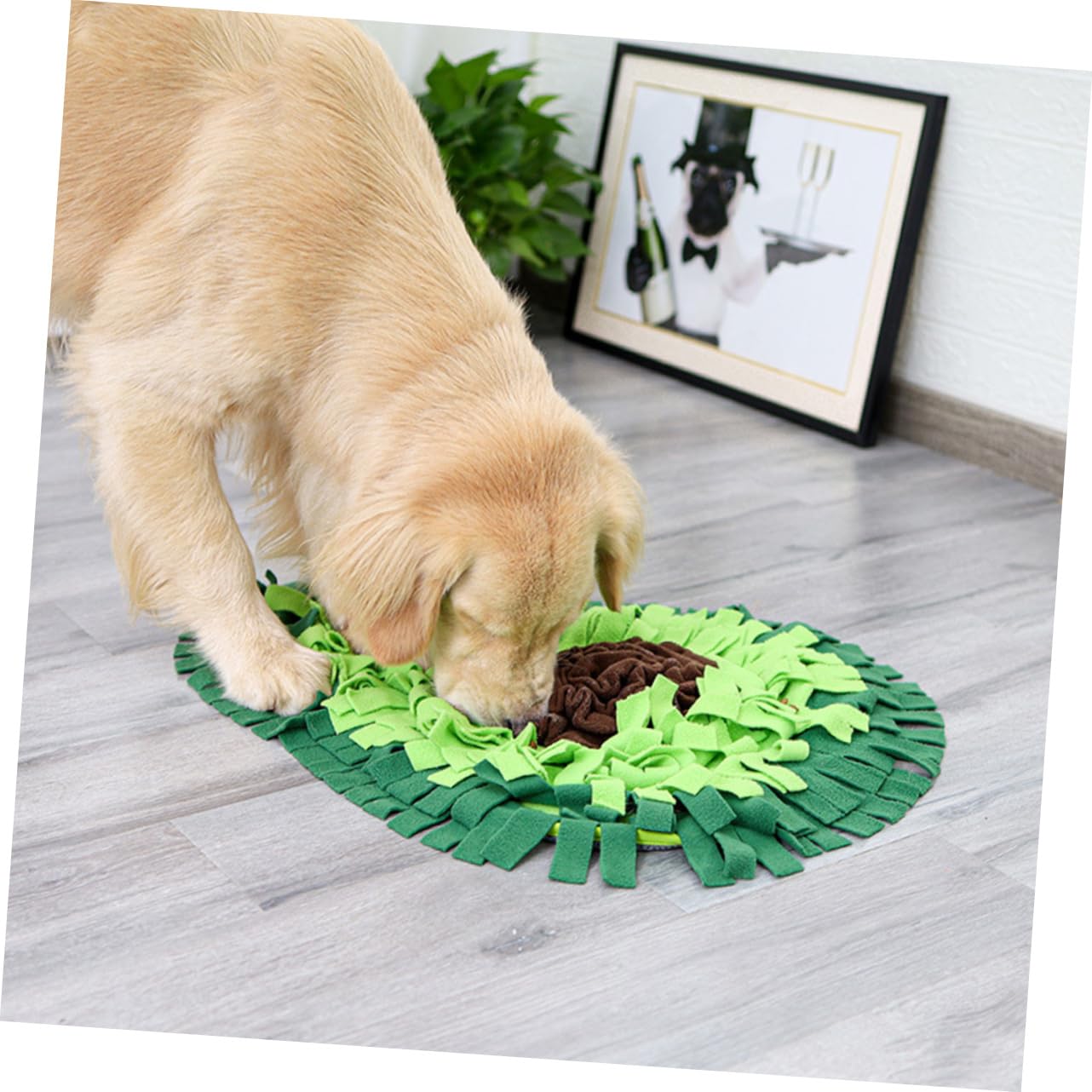 Tappetino Olfattivo per Cani in Pile Verde, 1 Pezzo