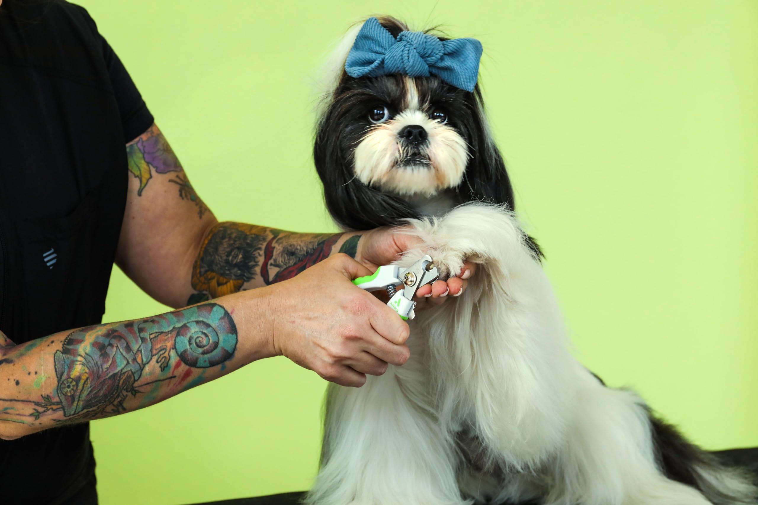 Andis 68575 Animal Nail Cutter for Small Breeds - Stainless Steel Blades with Sharp Efficiency - Designed for Repeated Use & Recommended by Pet Trainers – Medium Size & White/Green - image 6