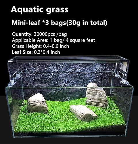 Miniatura 2 de Planta de acuario viva, hierba de agua con semillas, 1 onza de agua dulce acuática, mini hoja de perla pequeña para pecera, terrario, alfombra enana