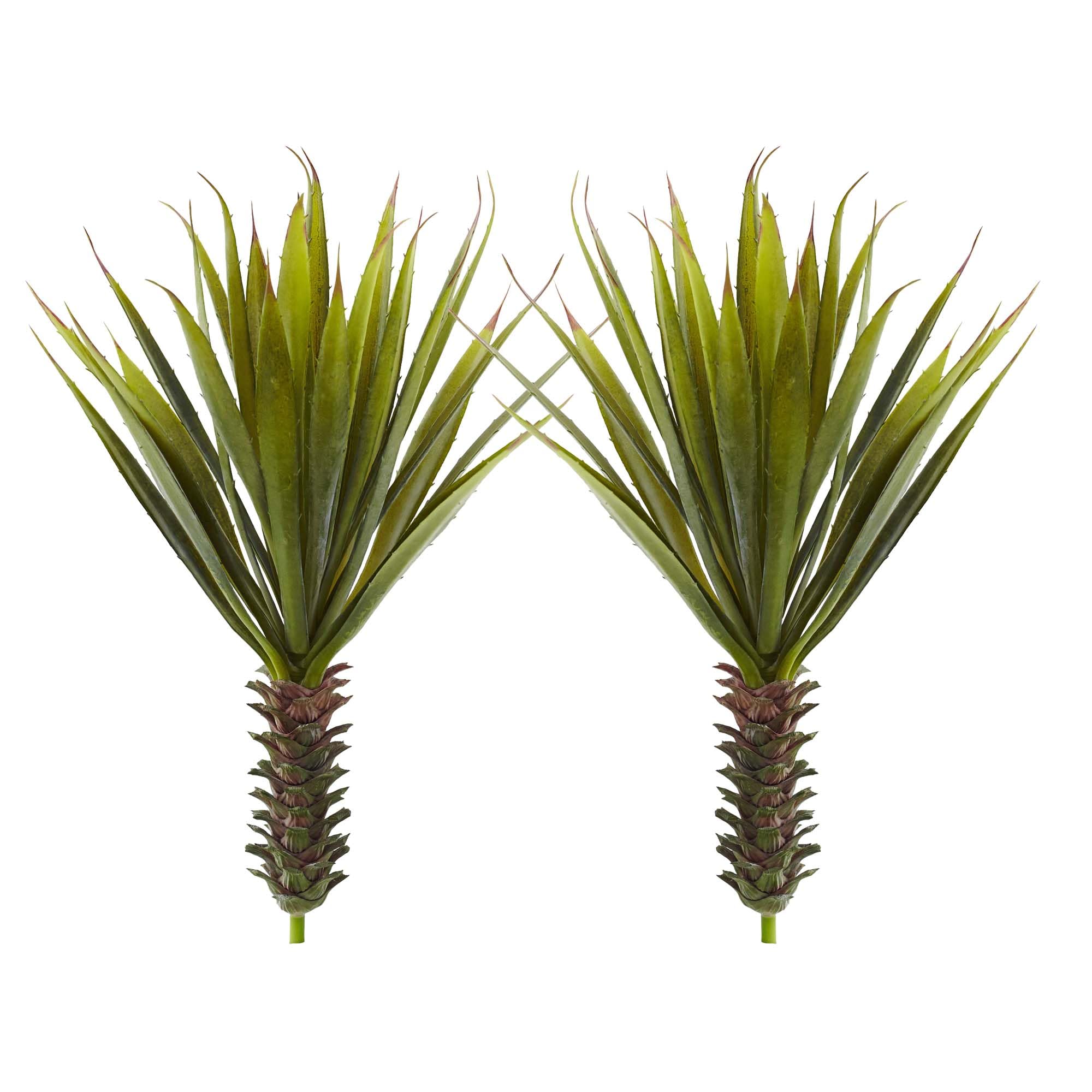 Plantes succulentes d'agave artificielles déco maison verte pot de fleurs intérieur