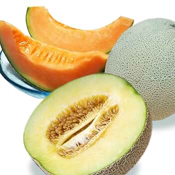 Amazon.co.jp: メロンセット 完熟 高級 徳秀A ※野菜ソムリエ監修