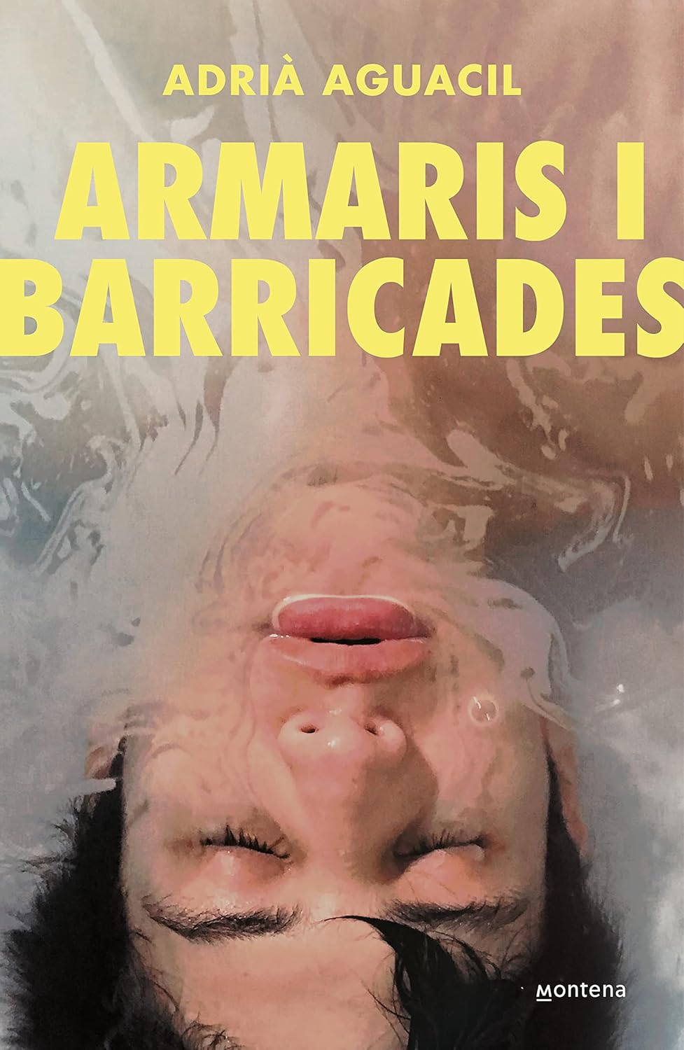 Armaris i barricades 9788419357403 Aguacil Portillo