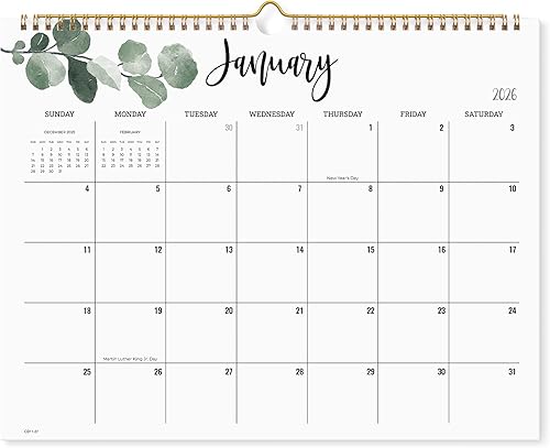 Cabbrix Calendario de pared 2026, calendario mensual de 12 días desde enero de 2025 a diciembre de 2026, planificador de educación en casa para