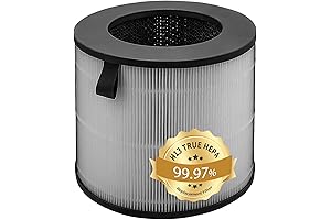U9C True HEPA Replacement Filter for LG Air Purifiying Fan