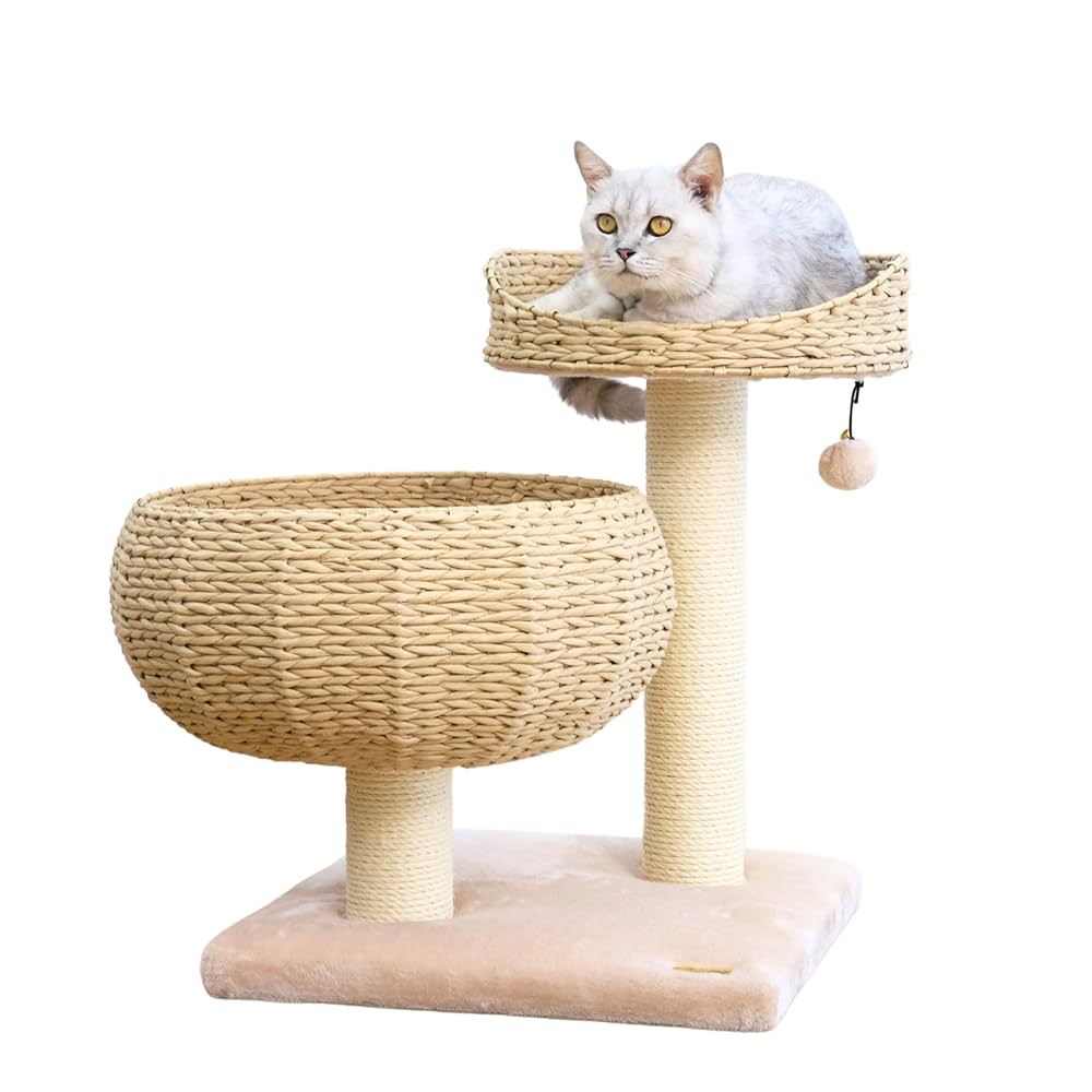 Amazon.com : PetPals Paper Rope Natural Bowl Shaped with