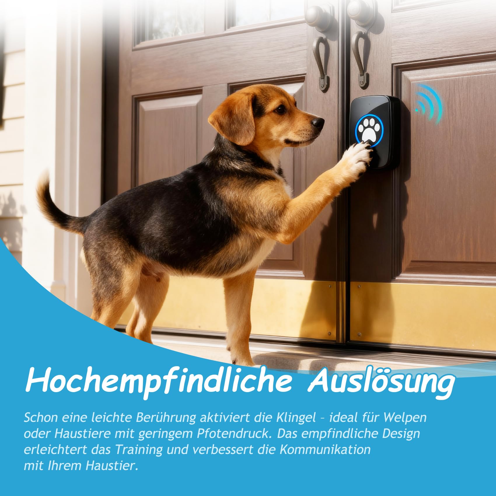 A10 Katzenklingel & Hundeklingel – Kabellose Türklingel, 300 m, LED, 60 Melodien, Wasserdicht, Buzzer Hund, Katzenglocke, Katzen Klingel Tür Außenbereich (1 Klingeltaster + 1 Empfänger)