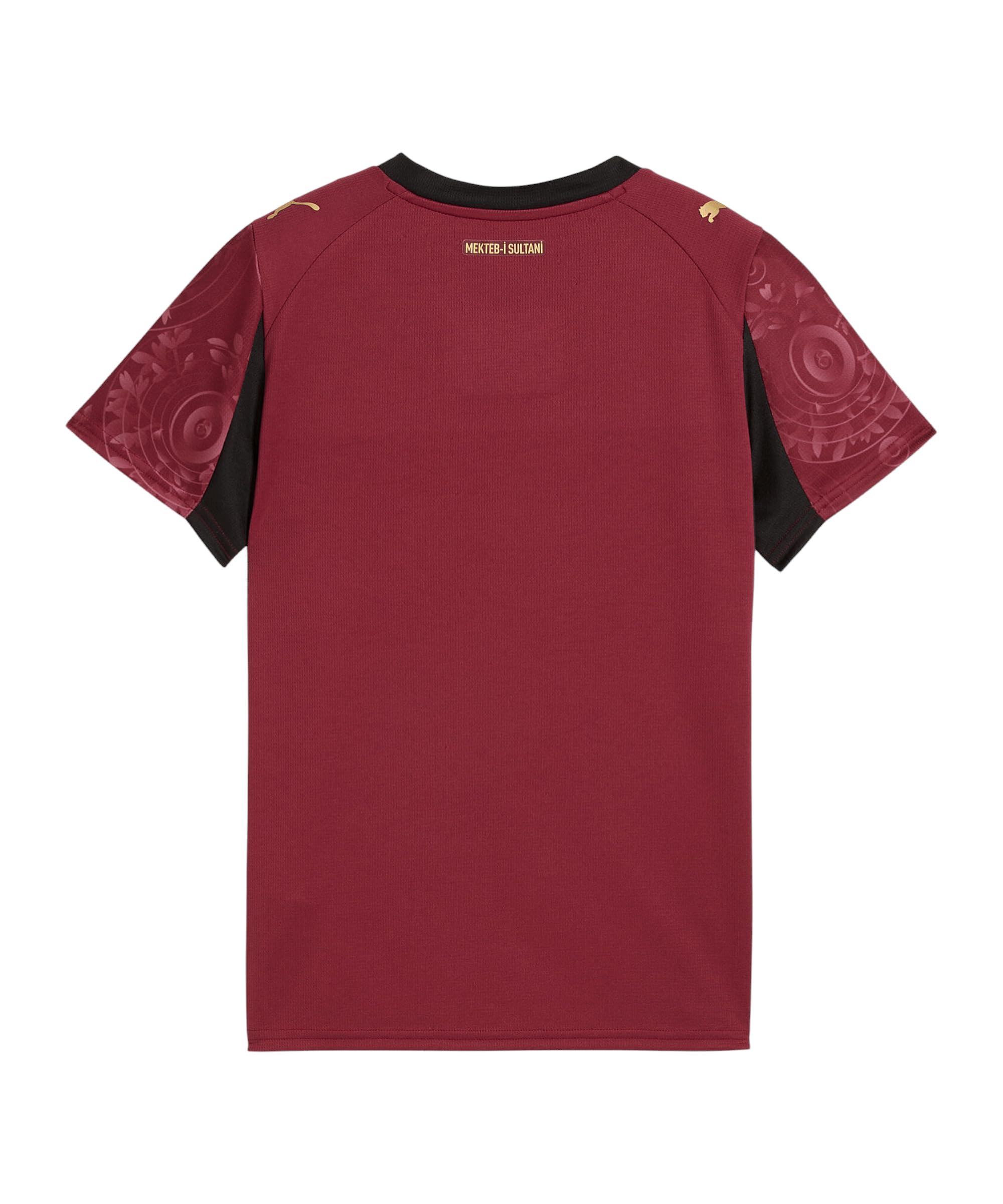 PUMA Galatasaray Istanbul Trikot 3rd 2025/2026 Herren
