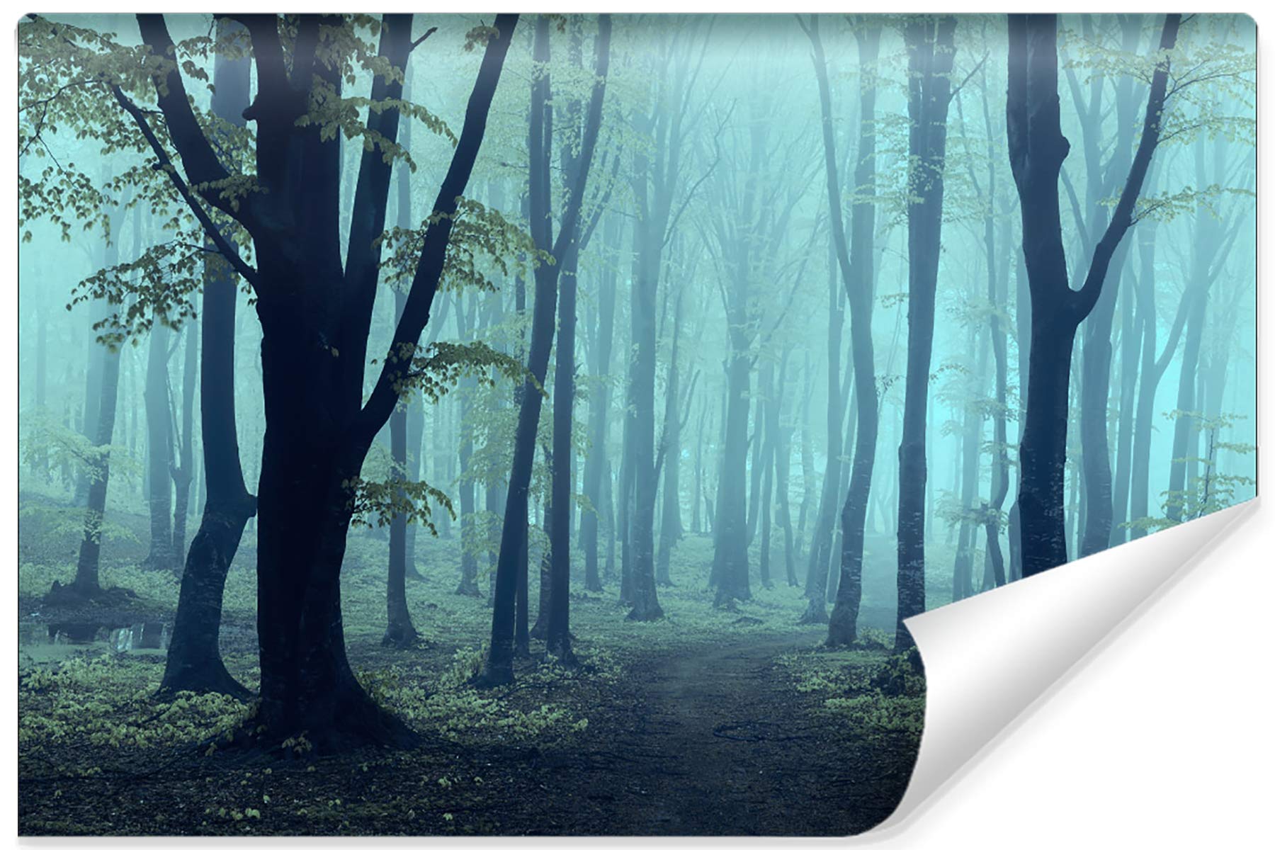 Fototapeta winylowa, las w mgle, drzewa, natura, tapety ścienne 300 x 210 cm, do salonu, sypialni, nowoczesne obrazy ścienne XXL, dekoracja ścienna, szer. 300 x wys. 210