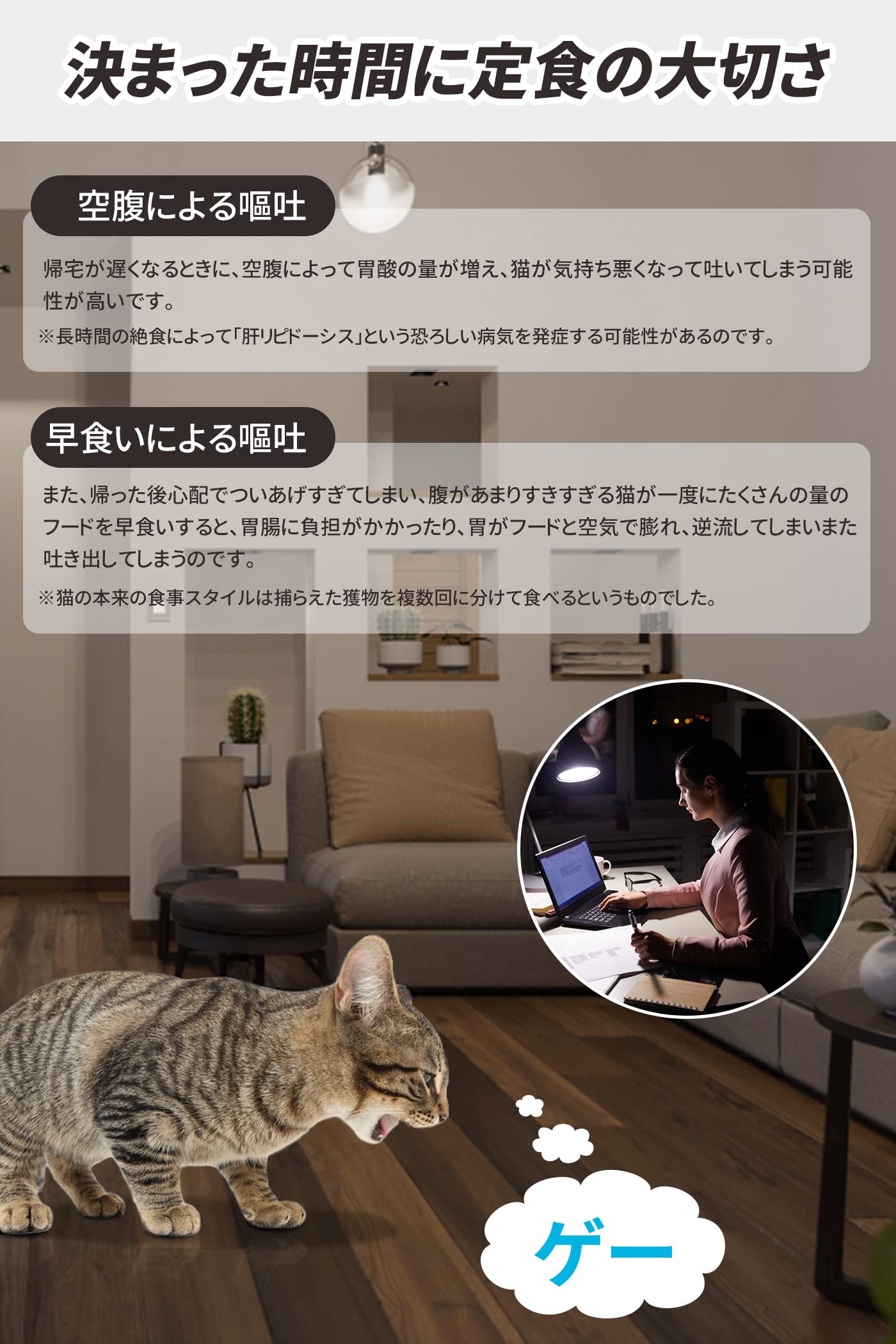 Amazon | LINECY 自動給餌器 猫 中小型犬用 4L大容量 決まった時間定食