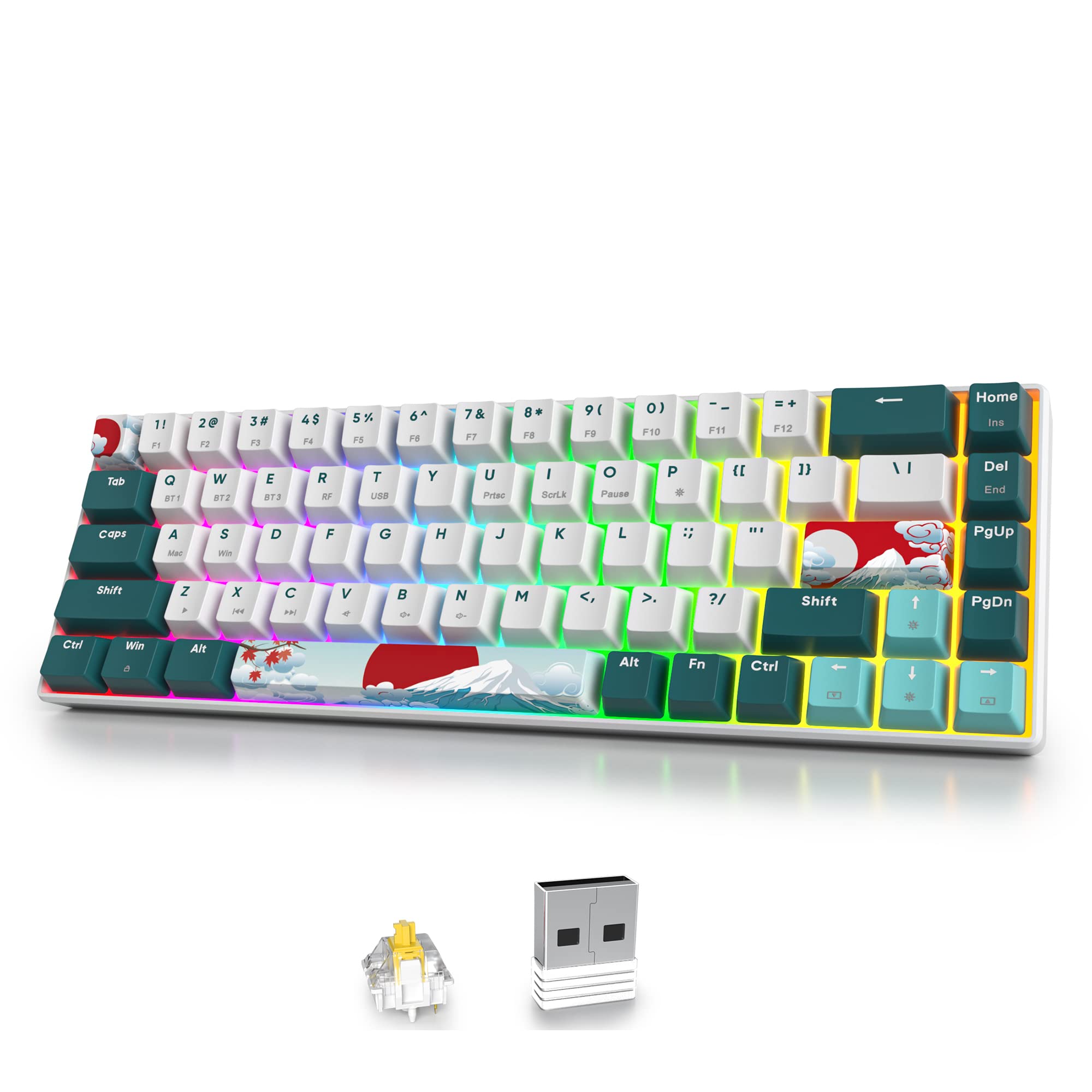 SOLIDEE tastiera meccanica RGB wireless 65%,tastiera Bluetooth 5.0/2.4Ghz/cablata a 3 modalità,68 tasti retroilluminazione RGB,mechanical keyboard hot swappable con Gateron Yellow Switchs(68 Forest)