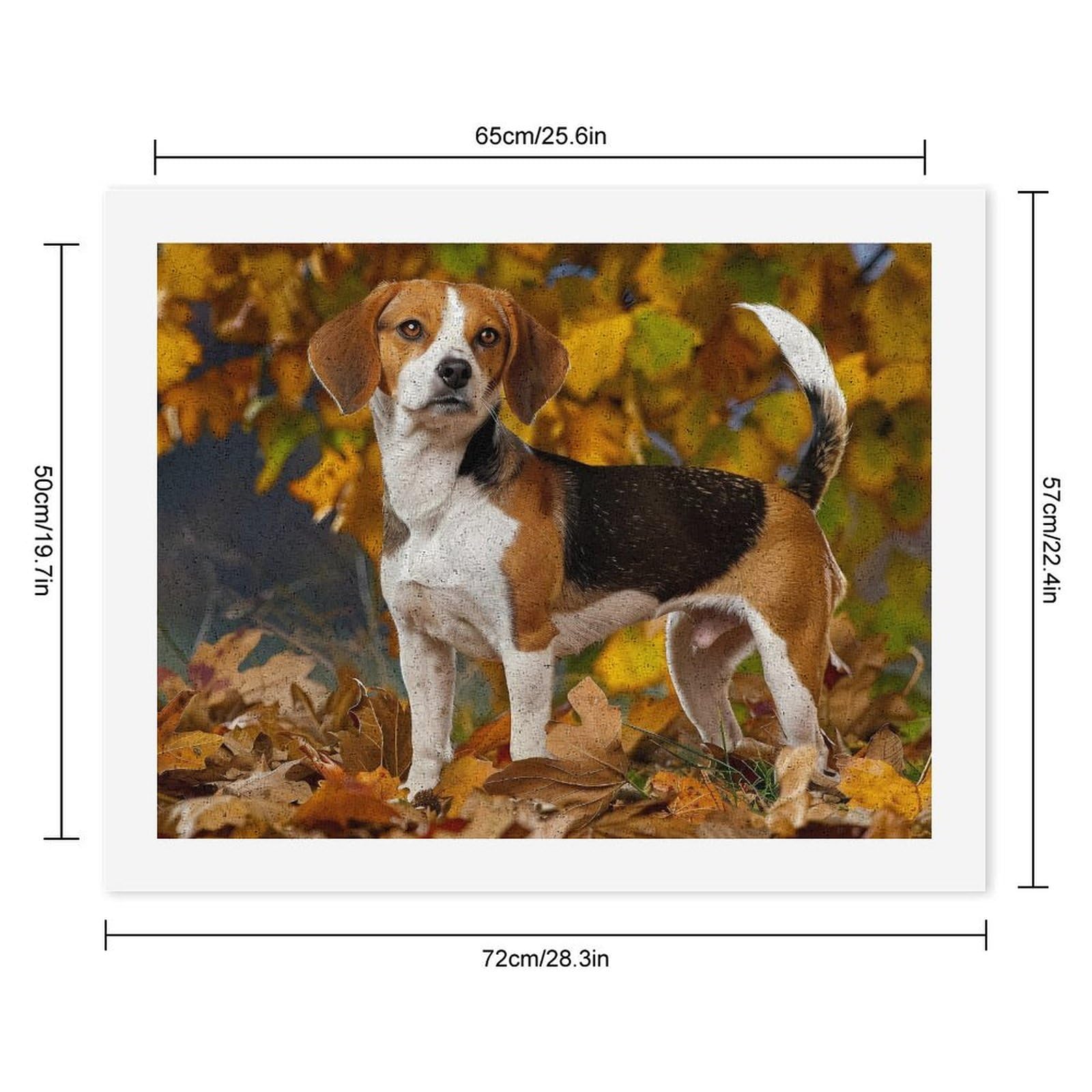 Malen nach Zahlen, Motiv: Hund im Herbst, bedruckt, für Erwachsene, Anfänger, bunt, DIY, einfaches Malen für Zuhause, Wanddekoration
