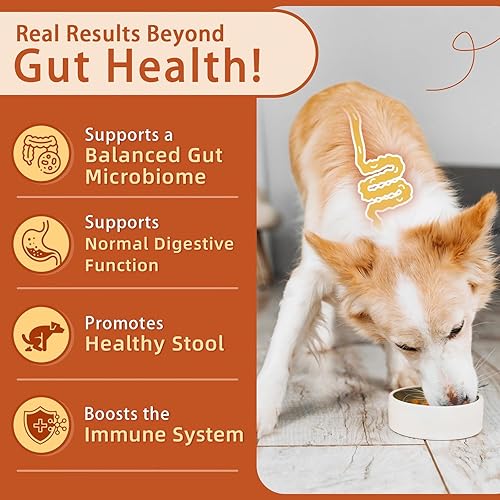 Miniatura 2 de ZEBORA Probióticos para perros  Probióticos para perros, calabaza para la salud digestiva e intestinal, enzimas digestivas y prebióticos para