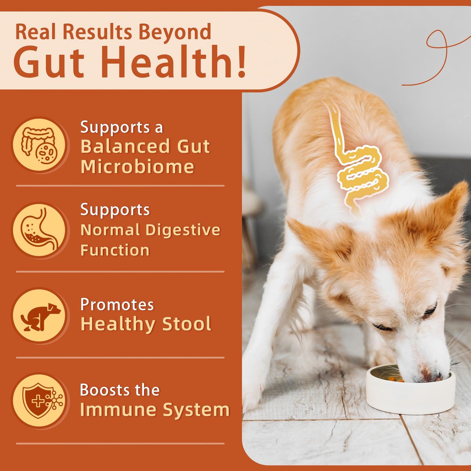 ZEBORA Pumpkin Powder for Dogs & Probiotics for Dogs Soft Chews - image 5