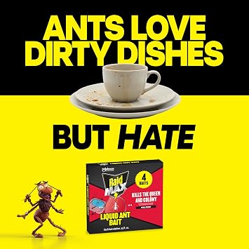 Raid Max Liquid Ant Bat; Kills Ants Where They Breed, for Indoor and Outdoor Use; 4 Bait Stations