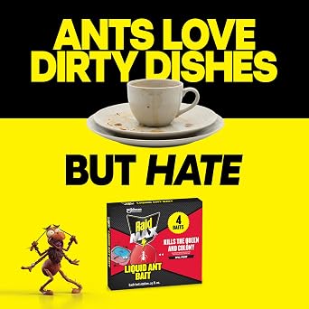 Raid MAX Liquid Ant Bait - Ant Traps Indoor and Outdoor Use Insect Repellent & Pest Control That Kills Ants Where They Breed - 12 Count