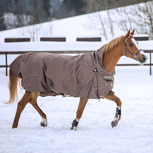 Vista 3 de HORZE Avalanche 1200D Ripstop - Manta impermeable de cuello alto para caballo (relleno de 10.58 onzas), color marrón con chispas de chocolate