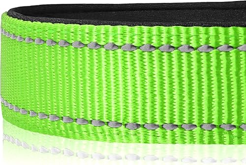 Vista 38 de Joytale - Collar reflectante para perro, collar de nailon transpirable con acolchado de neopreno suave para mascotas, ajustable para perros verde