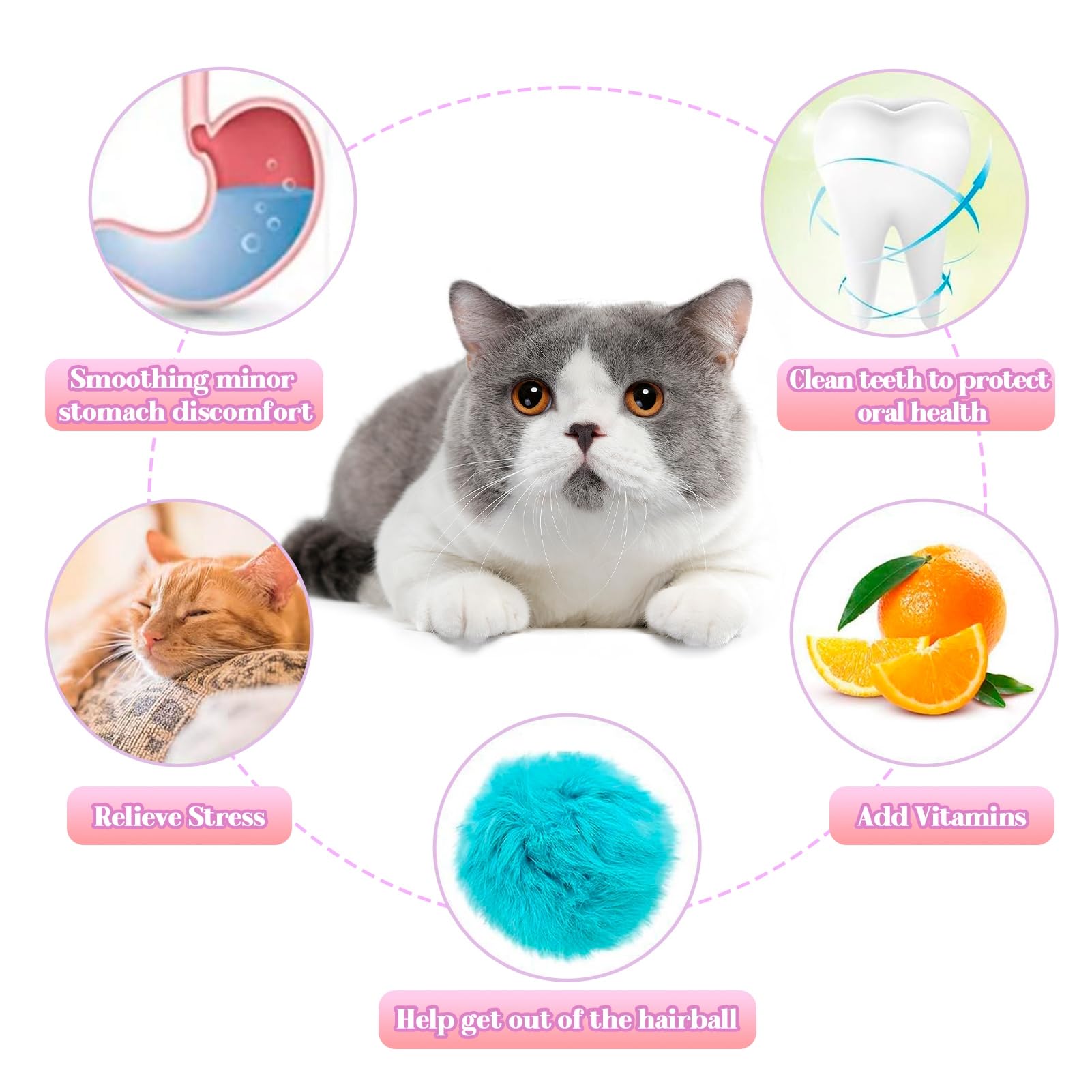 Bastoncini Di Erba Gatta E Matatabi Per Gatti - 15 Pezzi - Per Pulizia Denti E Divertimento - Foto 7