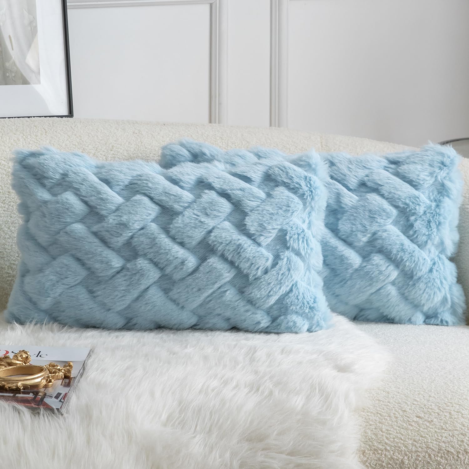 YAERTUN Set of 2 Decorative Cushion Covers Thick Plush Wool Pillows Covers Super Soft Luxury faux Rabbit Fur Velvet Throw Pillow Cases for Couch Sofa Bed Living Room 16x24 Inch 40x60 cm Light Blue
