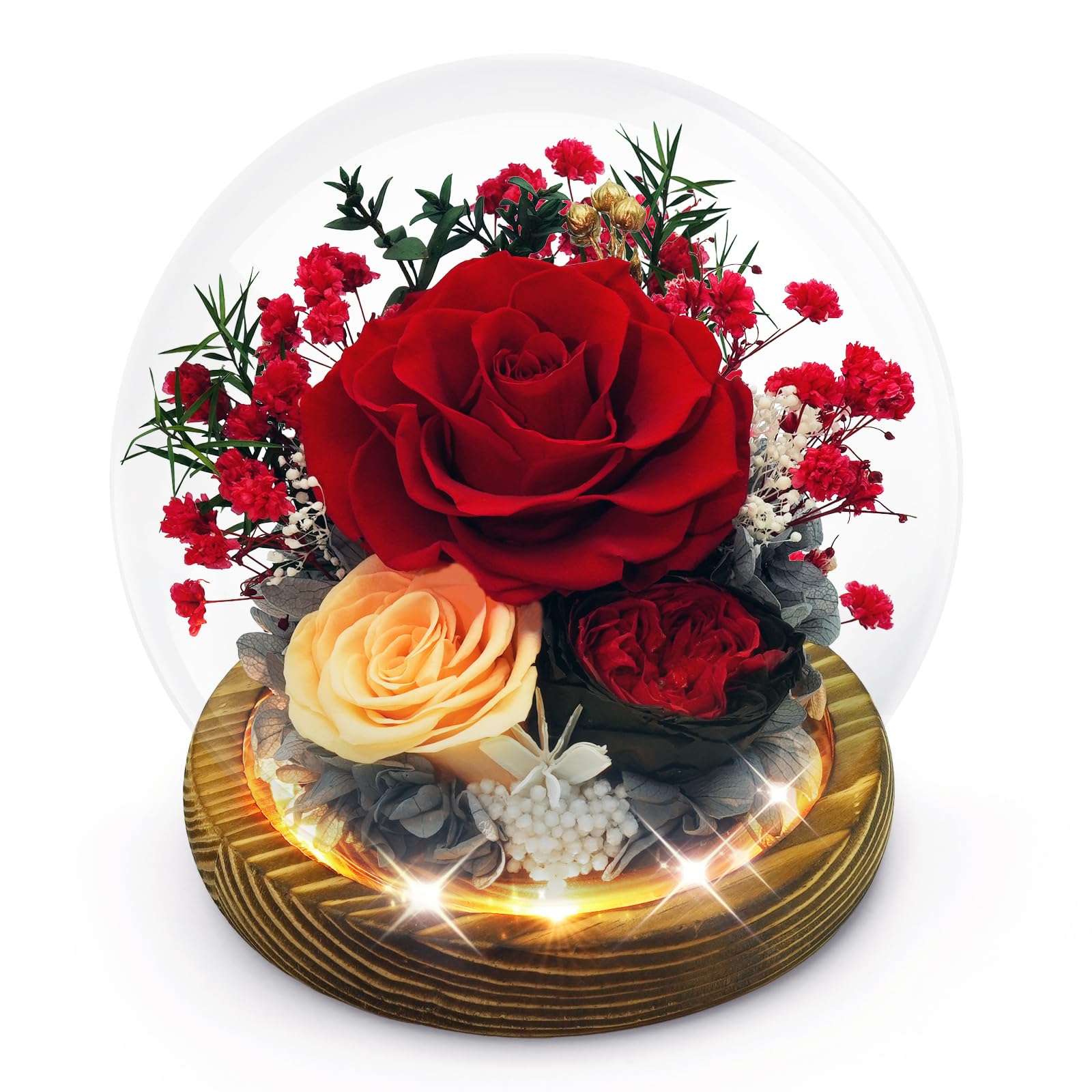 Preserved Rose in Glass Dome
