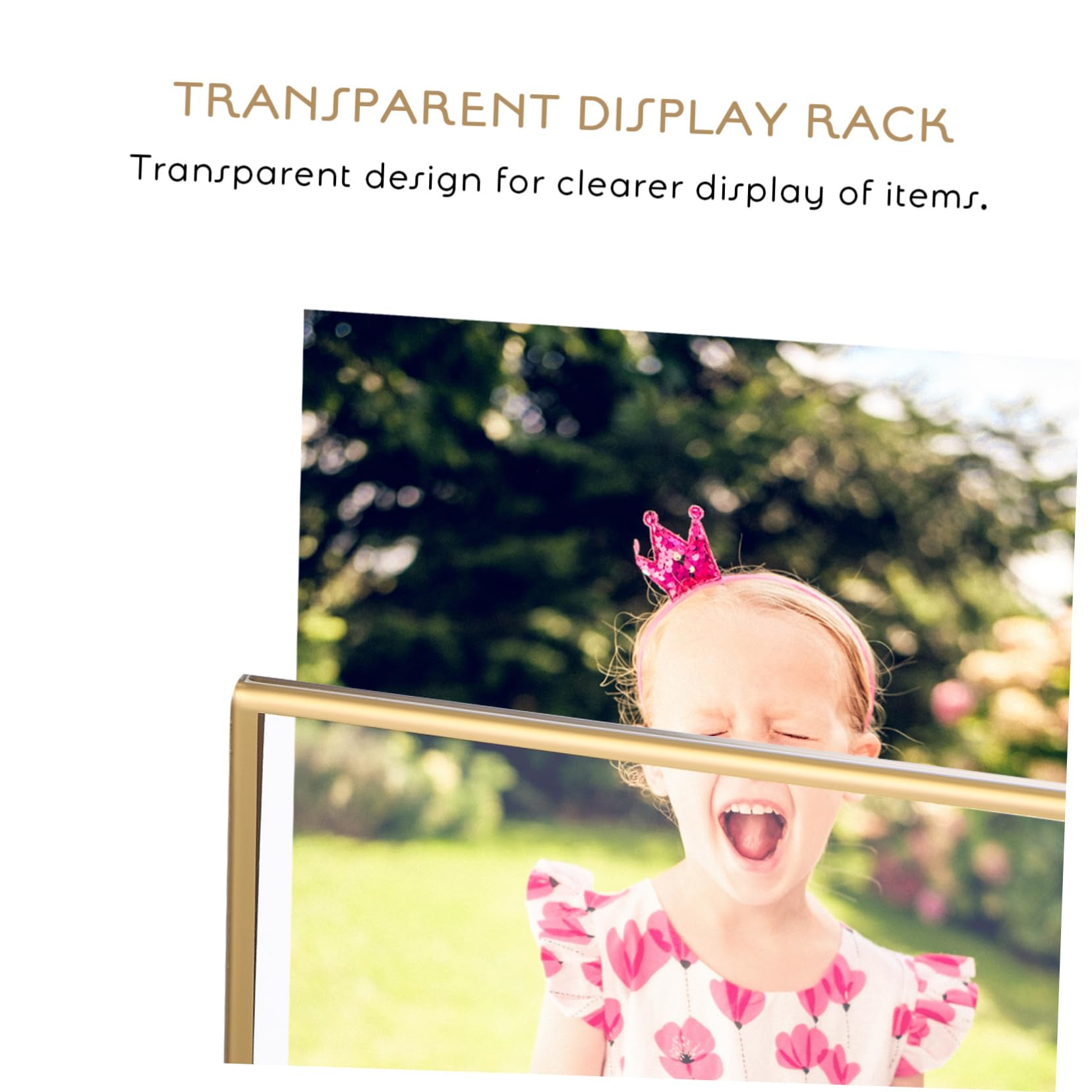 6 Stück Transparente Aufsteller Vertikale Preisschildhalter für Tisch Abnehmbar Leicht für Restaurants Hochzeiten Shops und Werbedisplays