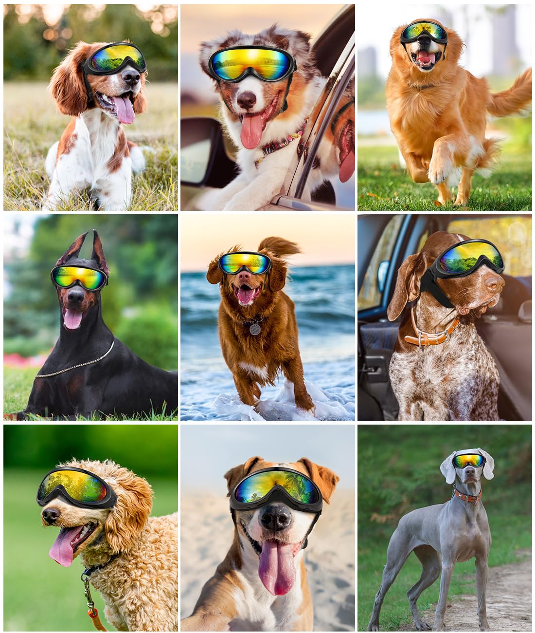 Occhiali Per Cani Lewondr - Protezione UV Per Taglia Medio-Grande, Nero - Foto 8