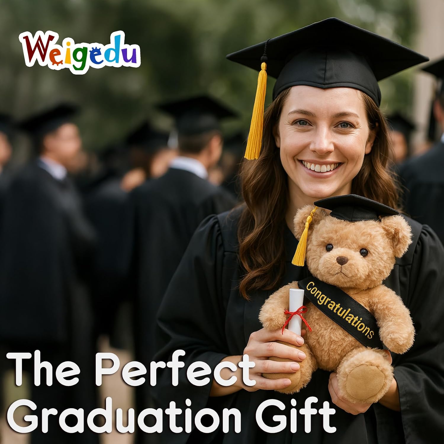 WEIGEDU Graduation Gift Teddy Bear Stuffed Animal Plush Toy, 12 Inch image 2