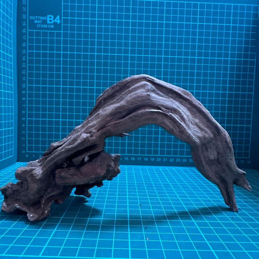 小流木 水槽用流木 アクアリウム k195