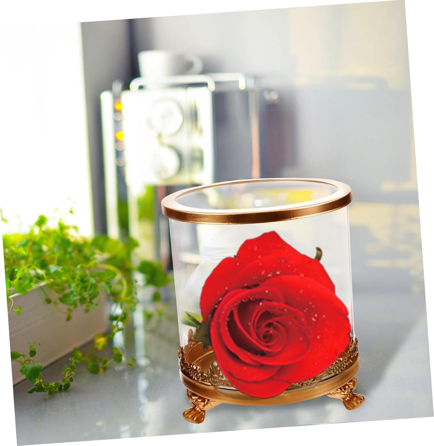 ULTECHNOVO Eternal Flower Glass Dome with Metal Base Display Cloche for Preserved Flowers Decorative Tabletop Centerpiece for Office Home Decor Aesthetic Room Decoration