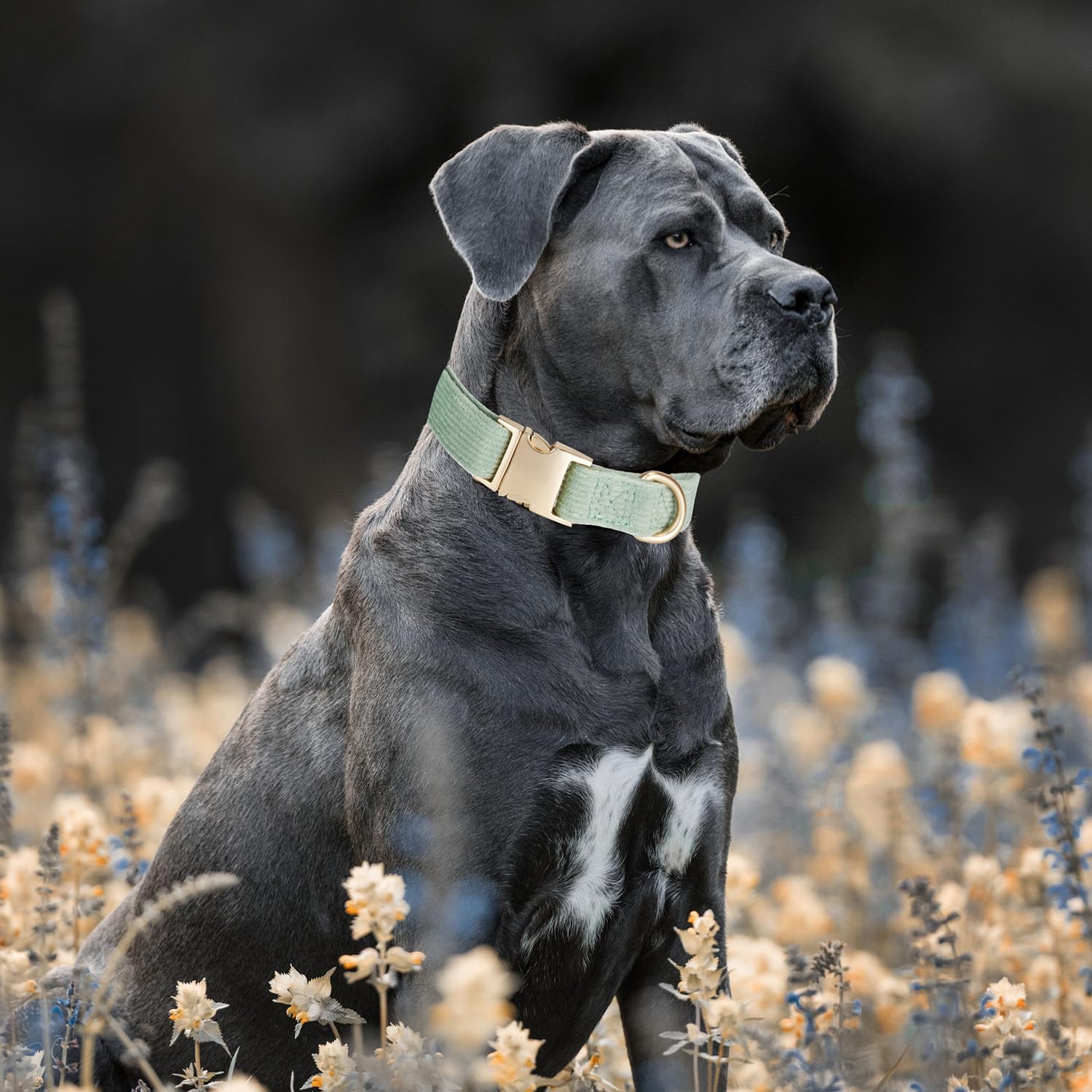 YUDOTE Ultra-soft Dog Collar Natural Cotton Corduroy Made for Large Dogs with Sensitive Skin,Sage Green, L (Pack of 1) - Image 4
