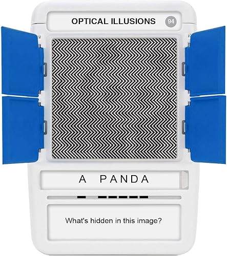 Vista 95 de 100 PICS US States & Capitals - Tarjetas didácticas para aprender de Estados Unidos, los 50 estados y las capitales, estuche funcional, para adultos