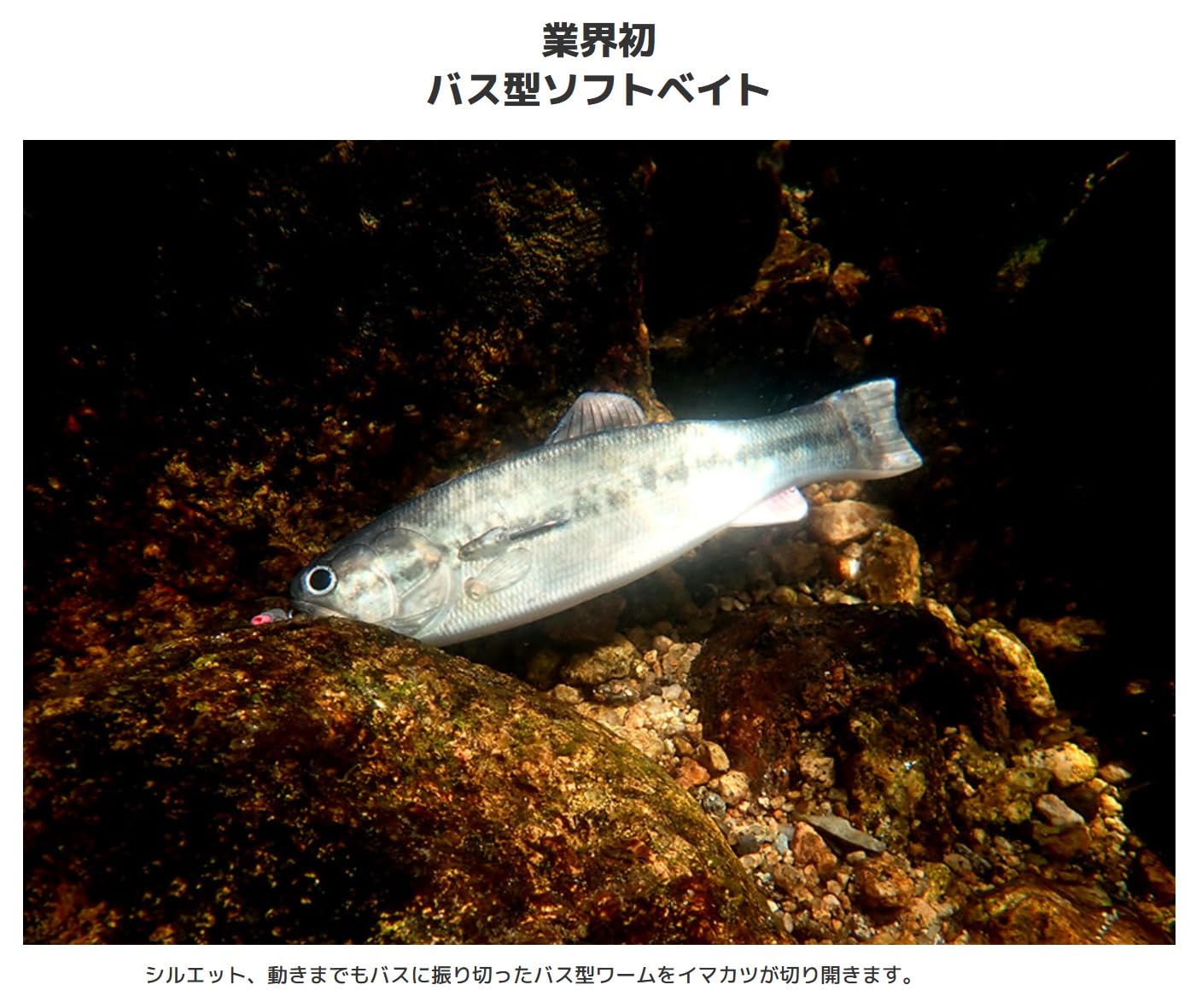 Amazon.co.jp: イマカツ(Imakatsu) バスワーム145 (エコ対応品) #S-248